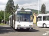 Ostrov